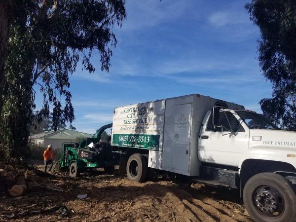 Central City Tree & Landscape Service