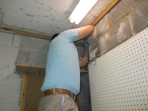 Twofold Mold Inspections