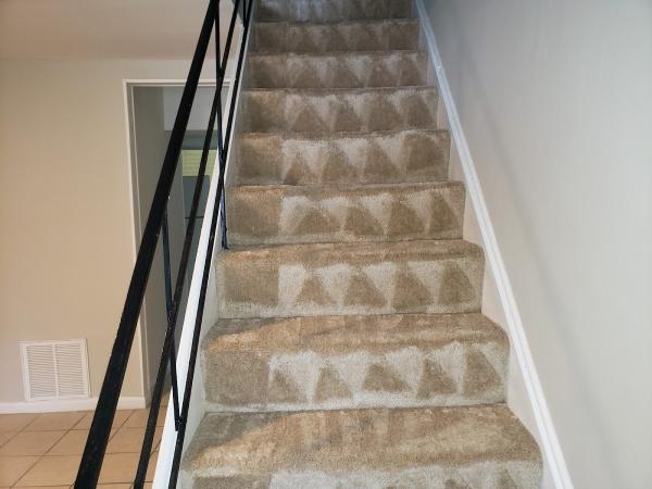Albert Carpet Cleaning