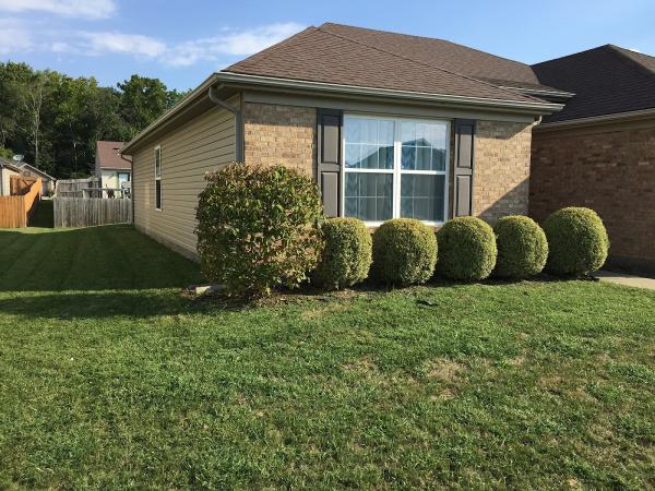 A.n.a Hauling & Lawn Care