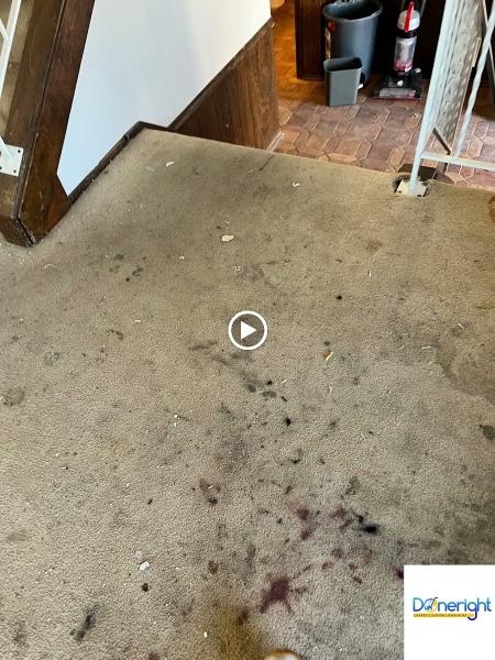 Done Right Carpet Cleaning Omaha