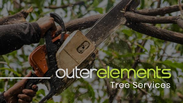 Payless Tree Service