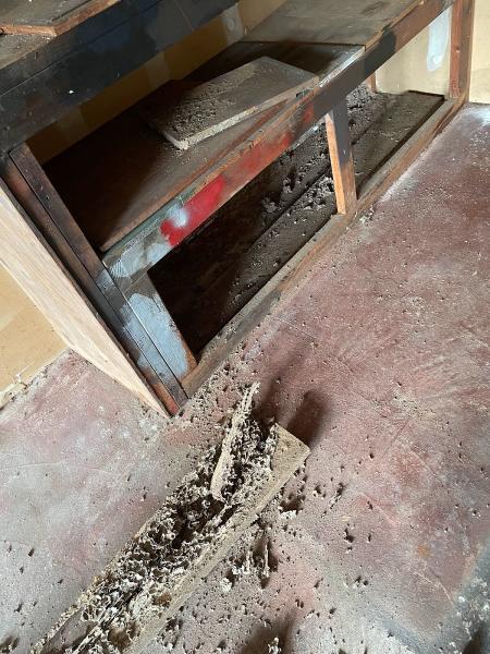 A. Aardvark Pest Control Corp.