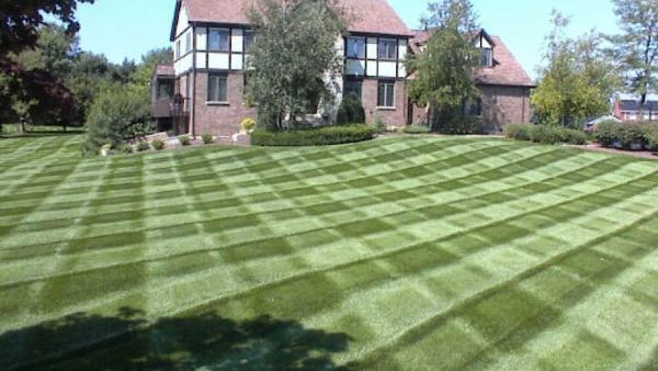 HG Grass Care LLC