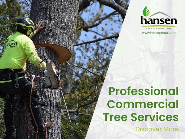 Hansen Landscape & Tree Services