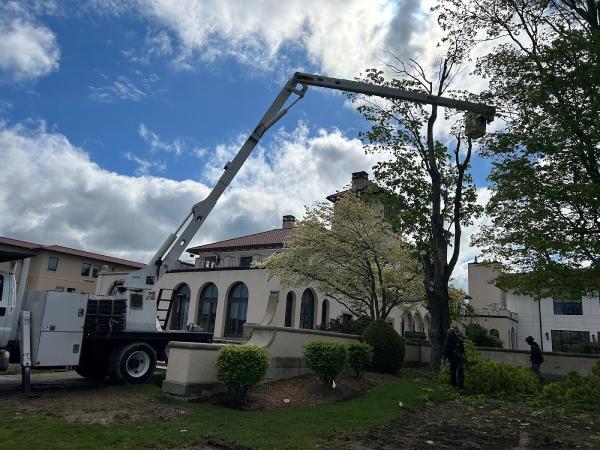 Hansen Landscape & Tree Services