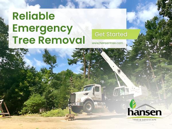 Hansen Landscape & Tree Services