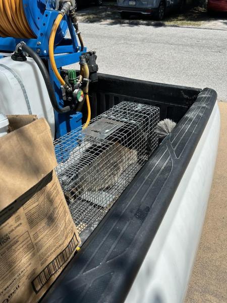 All Pro Pest Control Corp