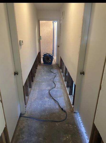 Roots Restoration Services