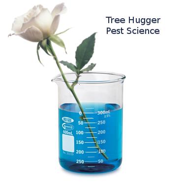Tree Hugger Pest Control