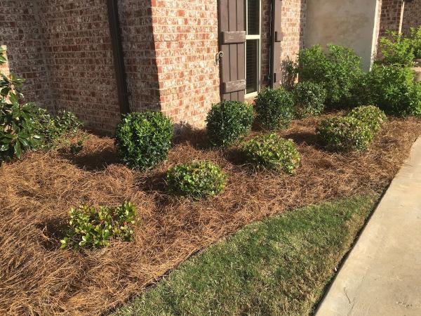 Holland Lawns LLC