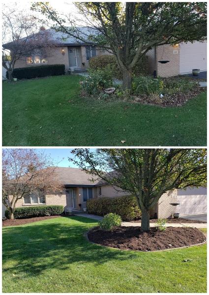 Envision Landscaping