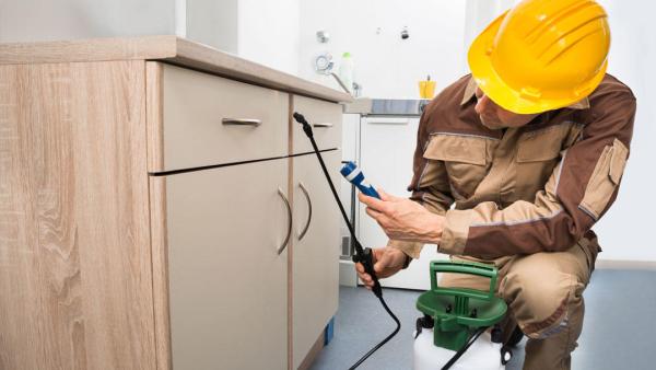 Yuba City Pest Control