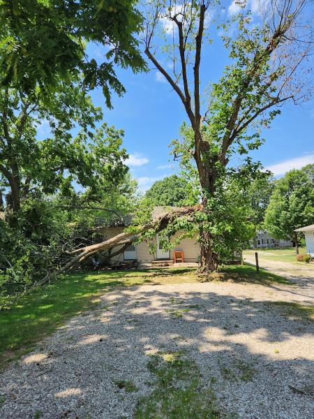 Kenneth's Tree Service