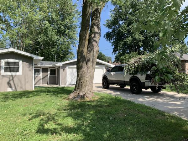 Kenneth's Tree Service
