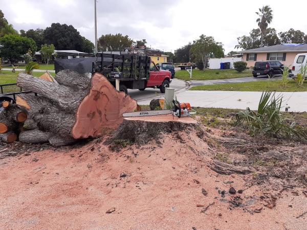 Advanced Landscaping Solutions LLC