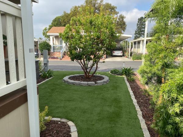 Wilson Greens