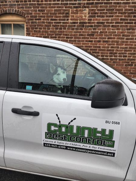 County Pest Control