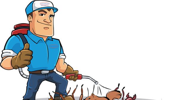 Contessa Bugs Inc.