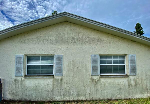 Apex Exterior Softwash Cleaning