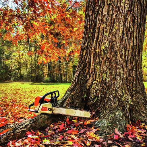 Alta Vista Landscaping and Tree Service