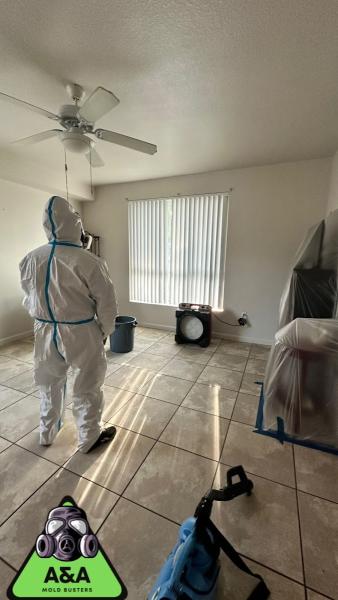 A&A Mold Busters