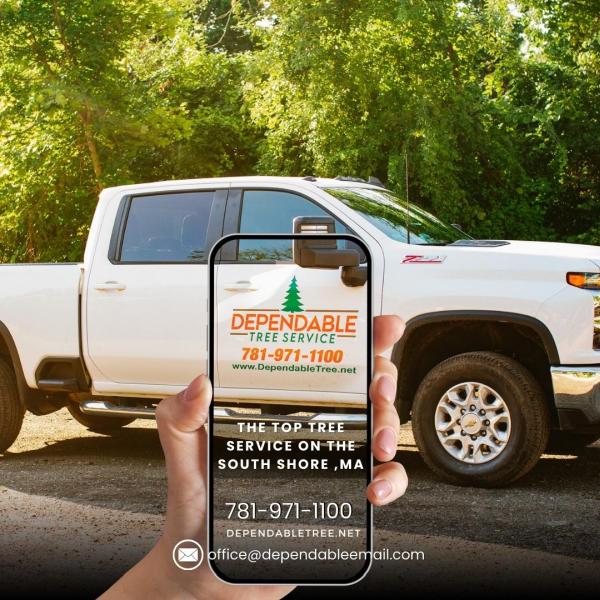 Dependable Tree Service