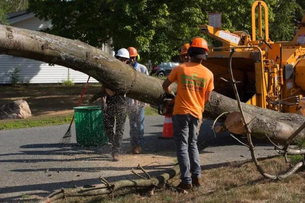Dependable Tree Service