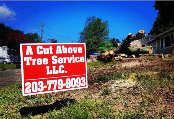 A Cut Above Tree Service LLC