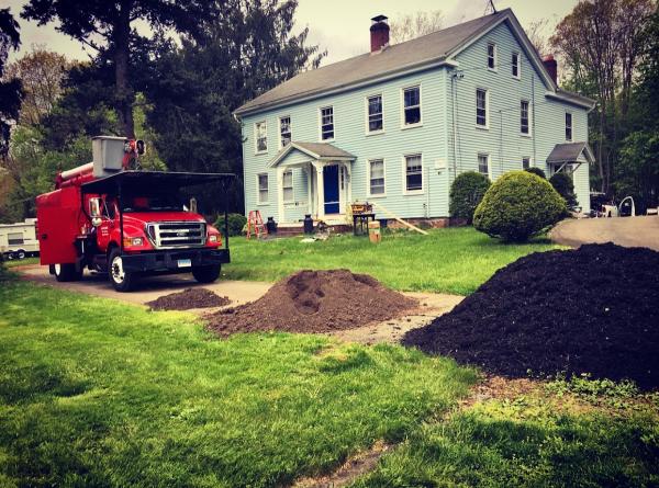 A Cut Above Tree Service LLC