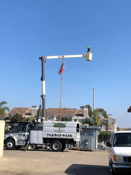 David's Tree Service
