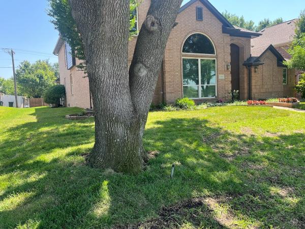Plano Landscaping Company