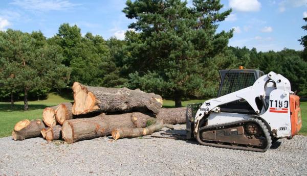 Jimmy's Tree Service