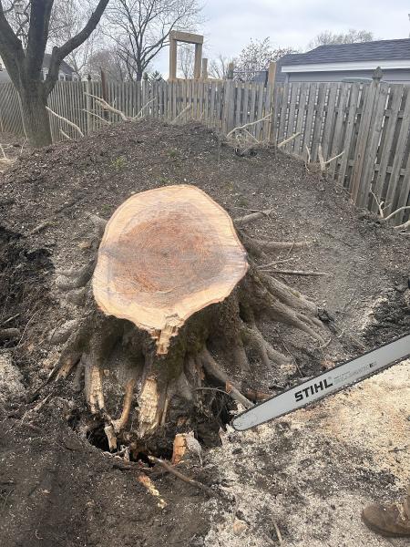 Jimmy's Tree Service