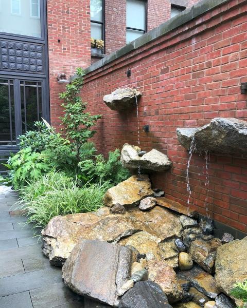 New York Green Roofs