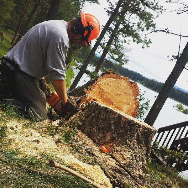 Big Sky Arborists