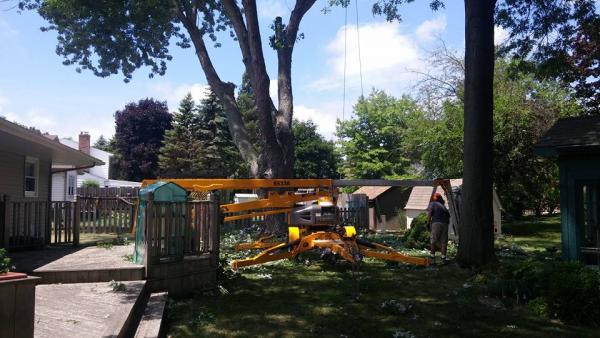 Seaben Tree Service