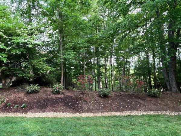 Thompson Improvements Pro Services