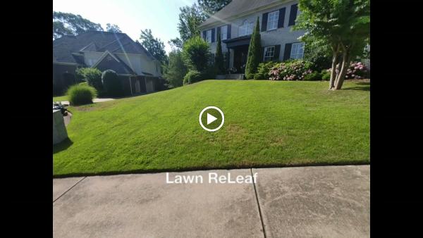 Lawn Releaf Lawncare Services