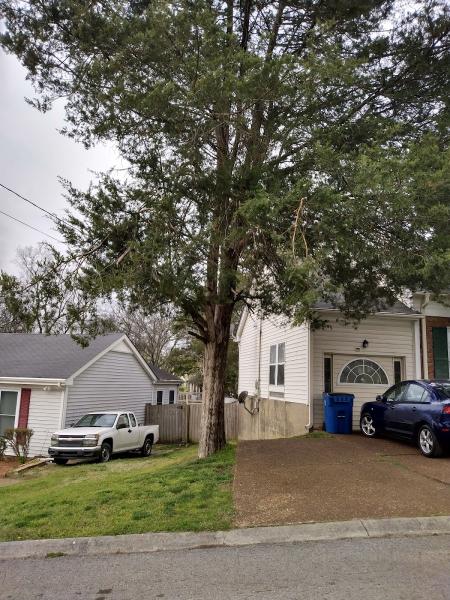 Agreeable Tree Service