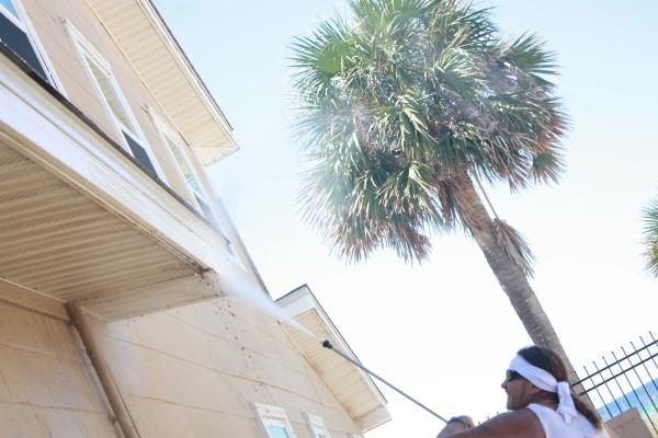 Perdomo Professional Painting