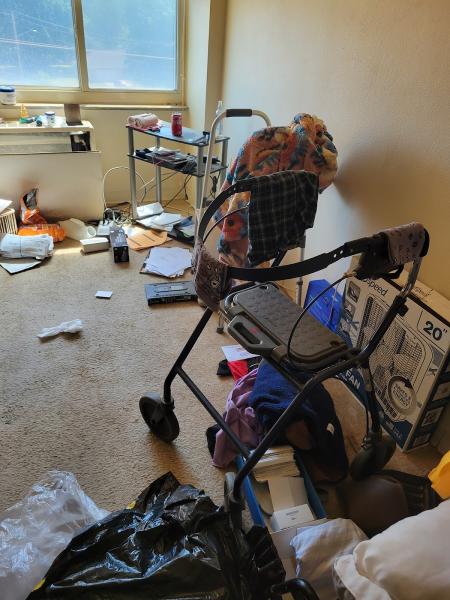 Stark Junk Removal