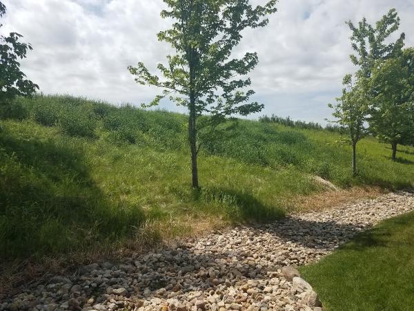 Thin Green Line Lawn Care
