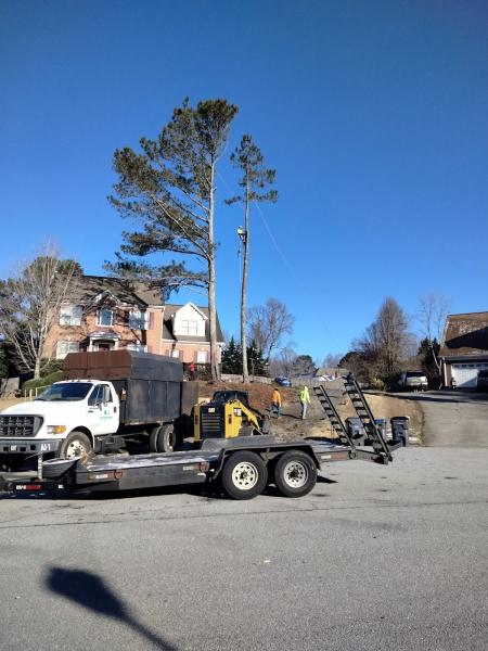 Allgreen Tree Services