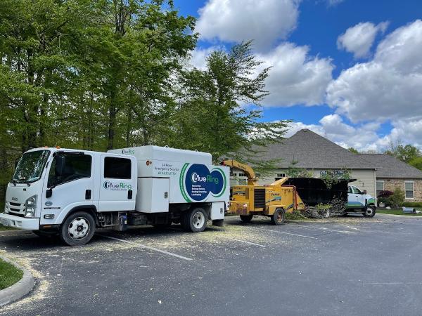 Blue Ring Residential Services