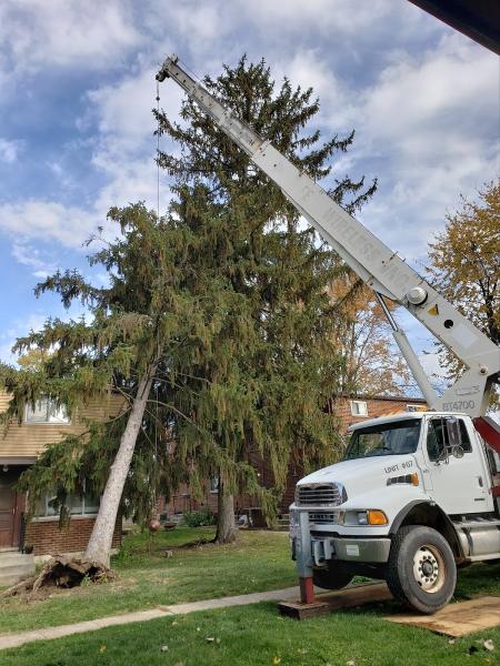 Bryant's Tree Service