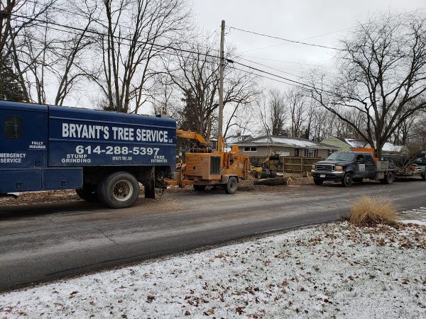 Bryant's Tree Service
