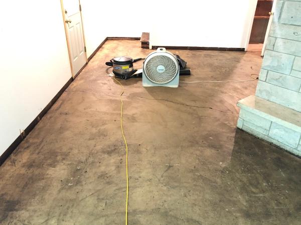 Asbestos Project Management
