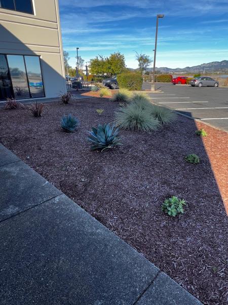 Valley Oak Landscaping
