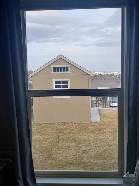 Sparkling Clean Windows